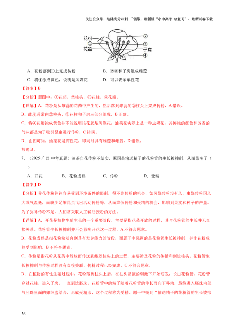 专题03绿色开花植物的一生（全国通用）（解析版）_02中考总复习（2026版更新中）_08-生物-中考总复习_2026年中考复习（更新中）