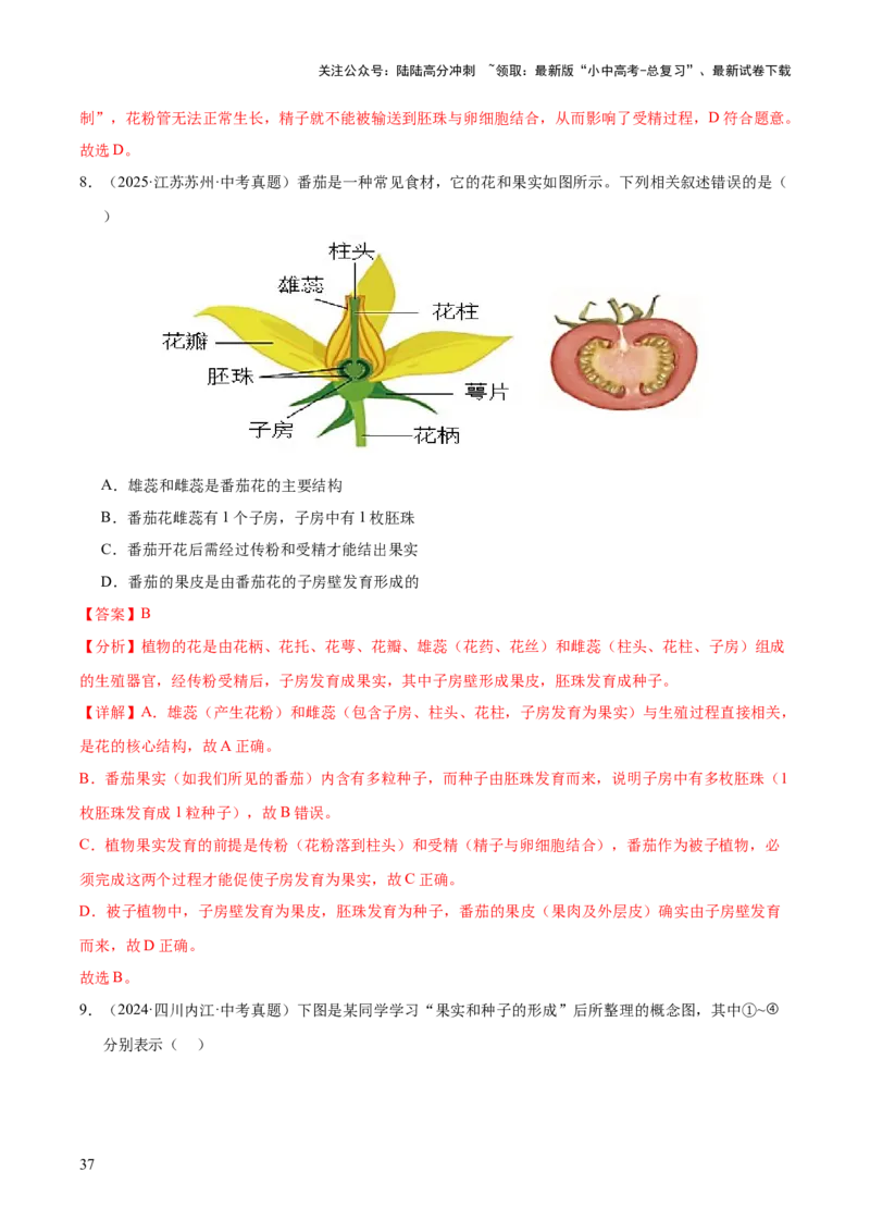 专题03绿色开花植物的一生（全国通用）（解析版）_02中考总复习（2026版更新中）_08-生物-中考总复习_2026年中考复习（更新中）
