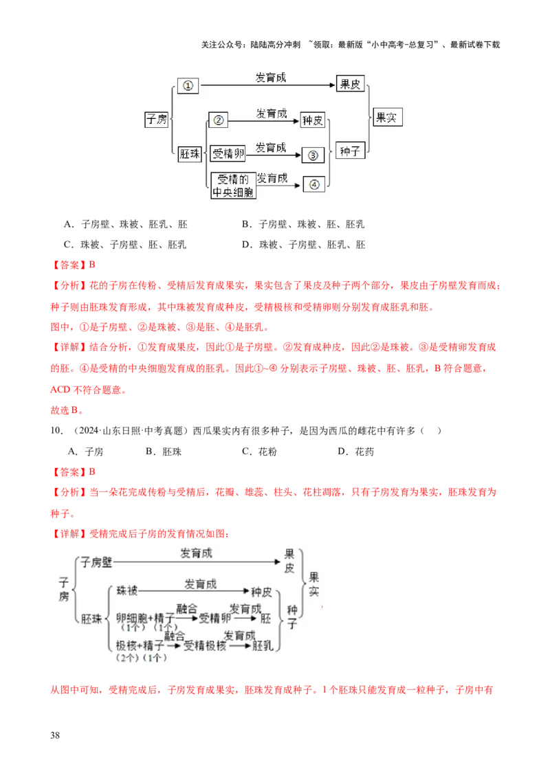 专题03绿色开花植物的一生（全国通用）（解析版）_02中考总复习（2026版更新中）_08-生物-中考总复习_2026年中考复习（更新中）