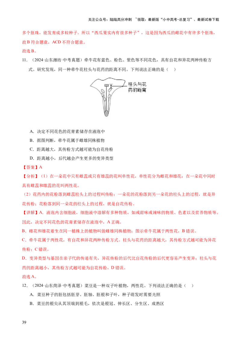 专题03绿色开花植物的一生（全国通用）（解析版）_02中考总复习（2026版更新中）_08-生物-中考总复习_2026年中考复习（更新中）
