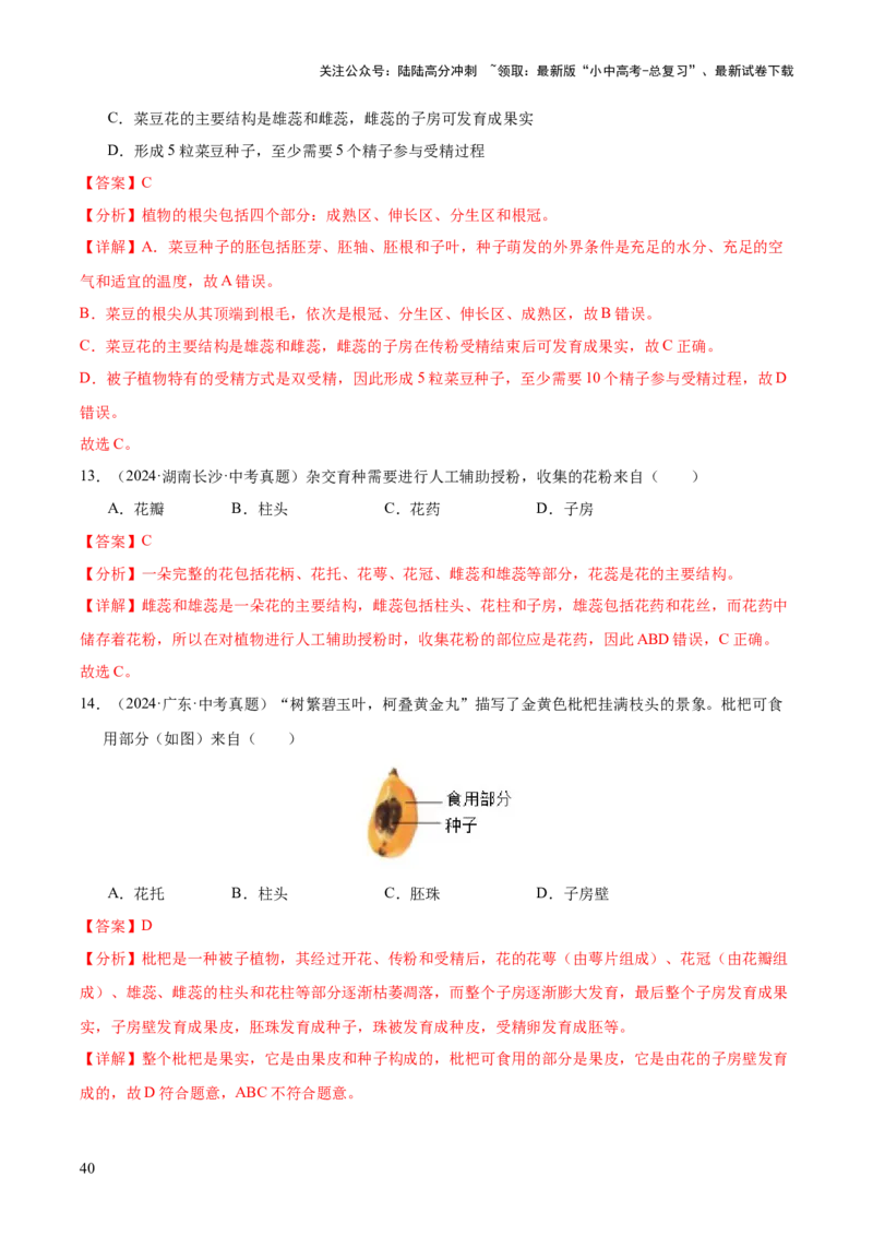 专题03绿色开花植物的一生（全国通用）（解析版）_02中考总复习（2026版更新中）_08-生物-中考总复习_2026年中考复习（更新中）