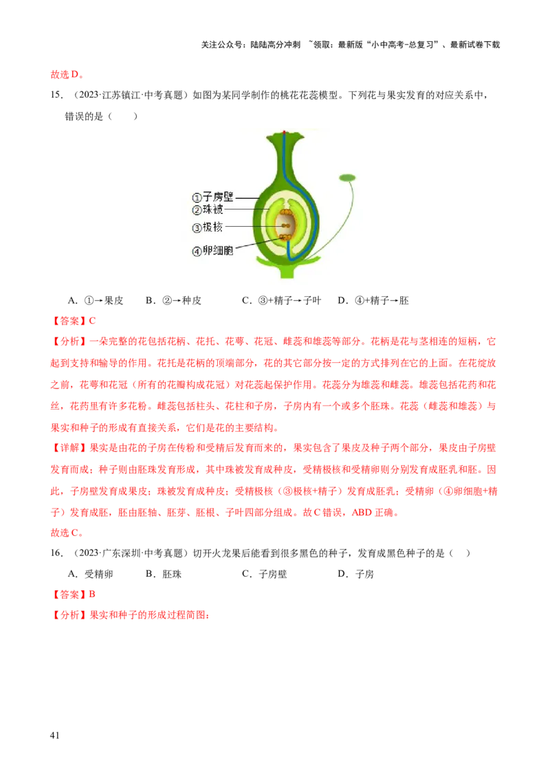 专题03绿色开花植物的一生（全国通用）（解析版）_02中考总复习（2026版更新中）_08-生物-中考总复习_2026年中考复习（更新中）