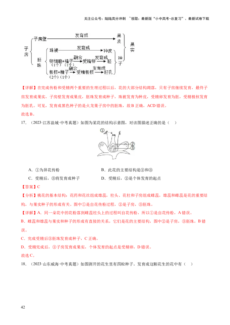 专题03绿色开花植物的一生（全国通用）（解析版）_02中考总复习（2026版更新中）_08-生物-中考总复习_2026年中考复习（更新中）