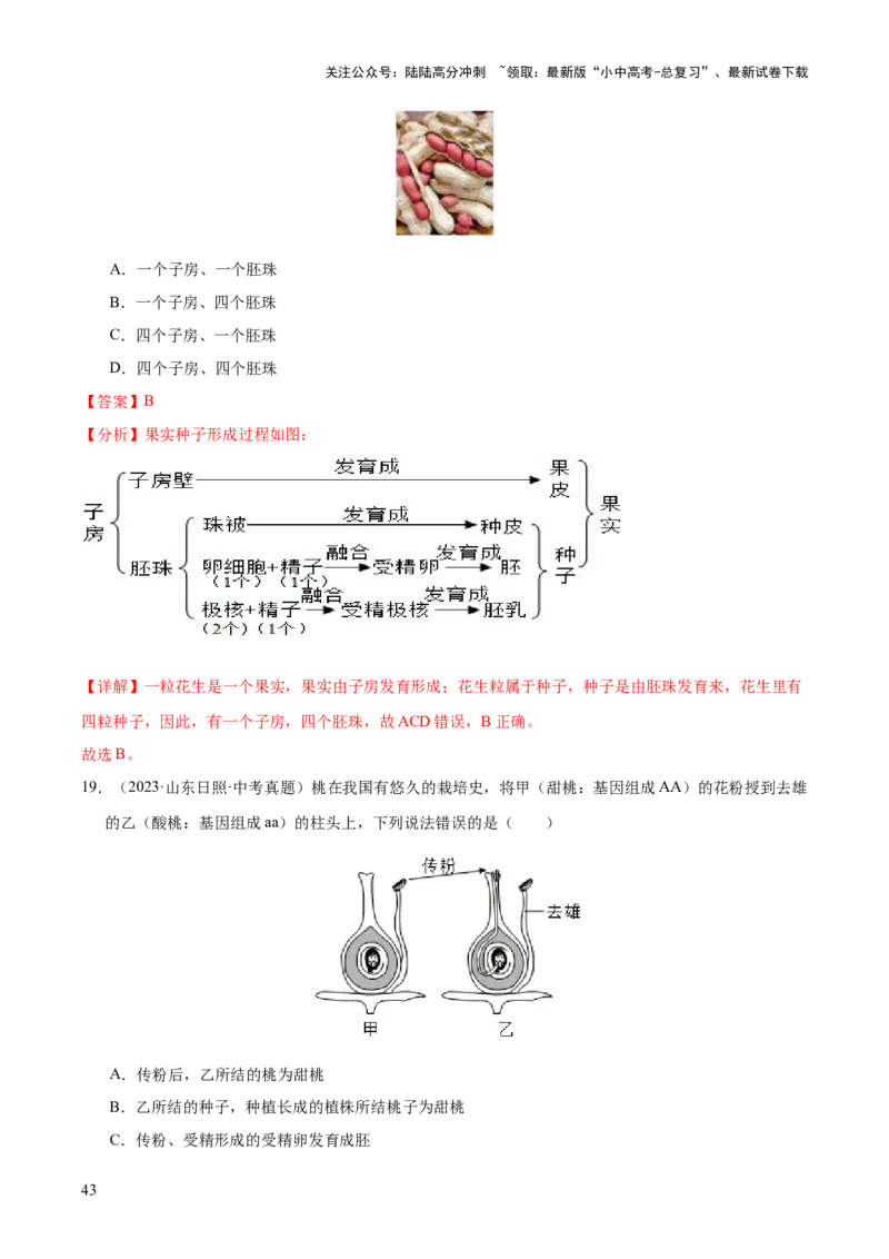 专题03绿色开花植物的一生（全国通用）（解析版）_02中考总复习（2026版更新中）_08-生物-中考总复习_2026年中考复习（更新中）