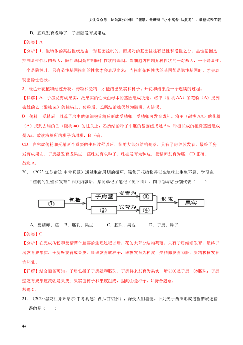专题03绿色开花植物的一生（全国通用）（解析版）_02中考总复习（2026版更新中）_08-生物-中考总复习_2026年中考复习（更新中）