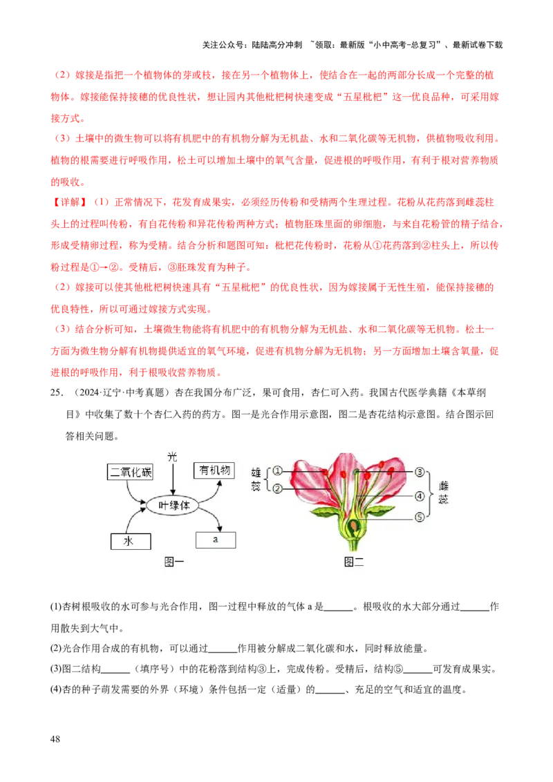 专题03绿色开花植物的一生（全国通用）（解析版）_02中考总复习（2026版更新中）_08-生物-中考总复习_2026年中考复习（更新中）