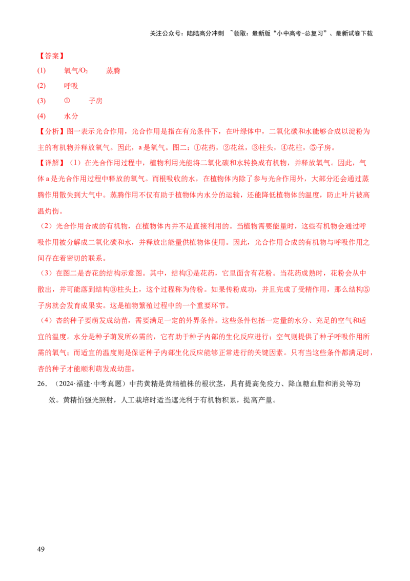 专题03绿色开花植物的一生（全国通用）（解析版）_02中考总复习（2026版更新中）_08-生物-中考总复习_2026年中考复习（更新中）