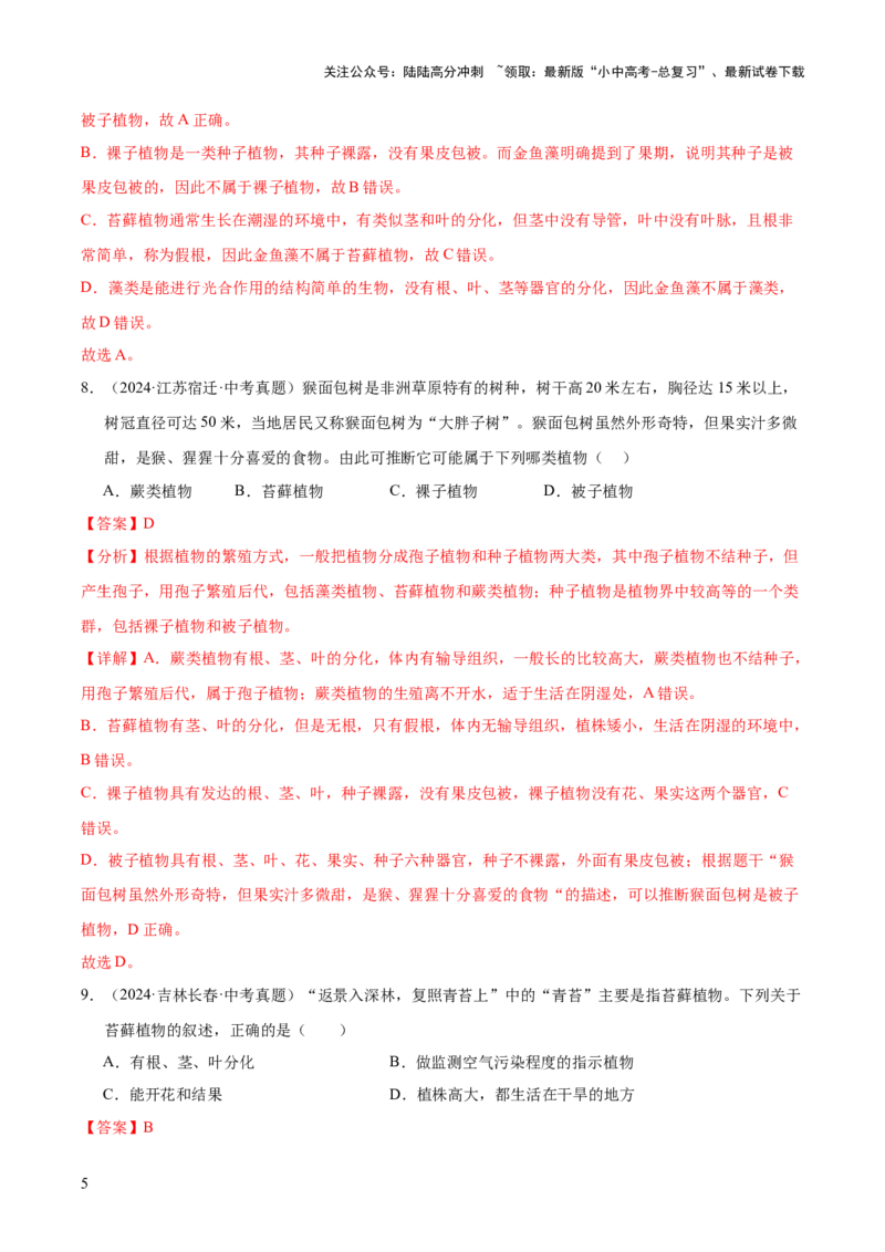 专题03绿色开花植物的一生（全国通用）（解析版）_02中考总复习（2026版更新中）_08-生物-中考总复习_2026年中考复习（更新中）