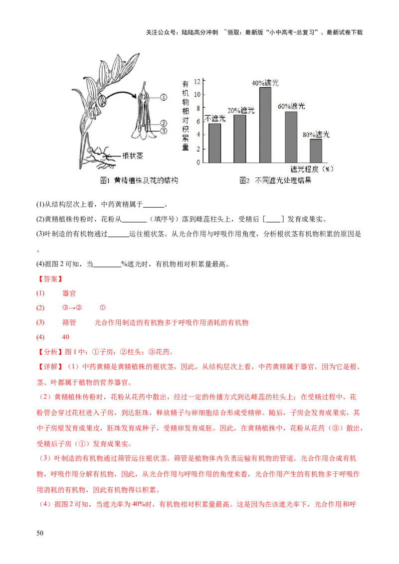 专题03绿色开花植物的一生（全国通用）（解析版）_02中考总复习（2026版更新中）_08-生物-中考总复习_2026年中考复习（更新中）