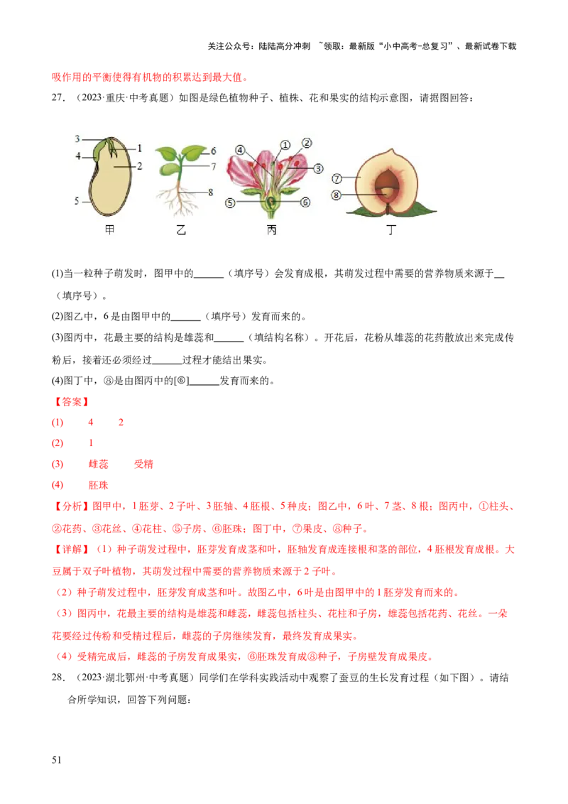 专题03绿色开花植物的一生（全国通用）（解析版）_02中考总复习（2026版更新中）_08-生物-中考总复习_2026年中考复习（更新中）
