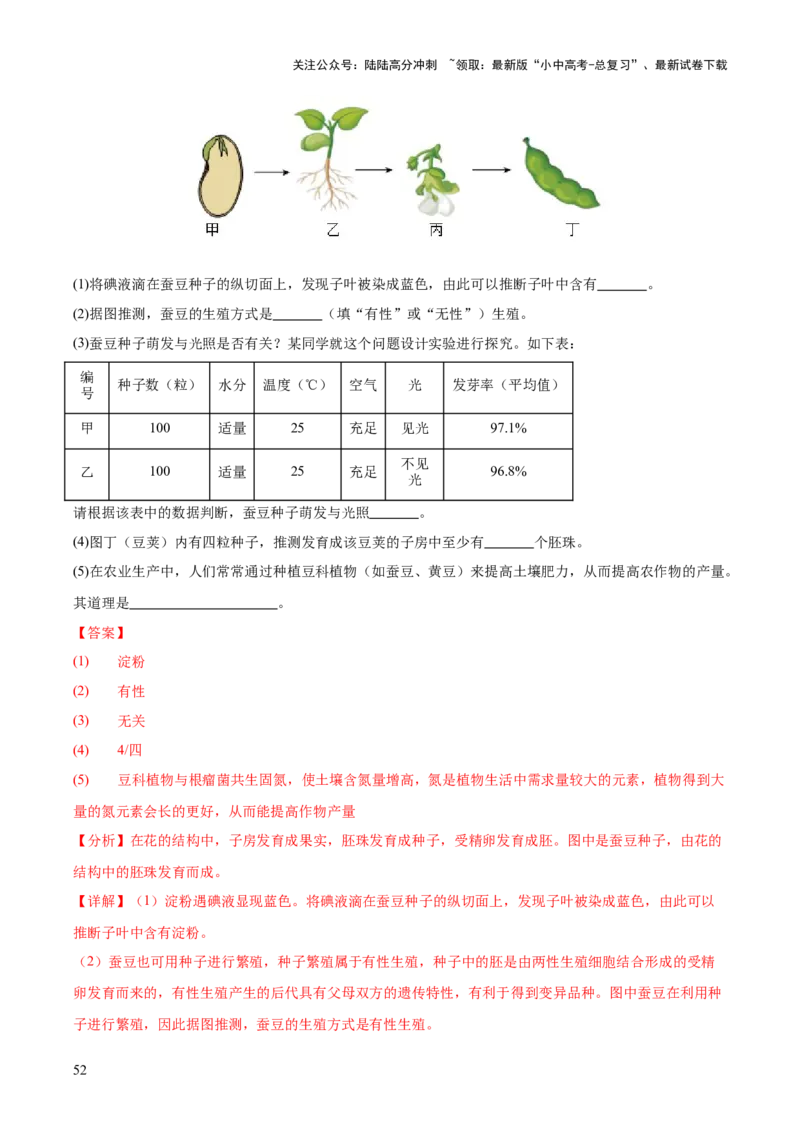 专题03绿色开花植物的一生（全国通用）（解析版）_02中考总复习（2026版更新中）_08-生物-中考总复习_2026年中考复习（更新中）
