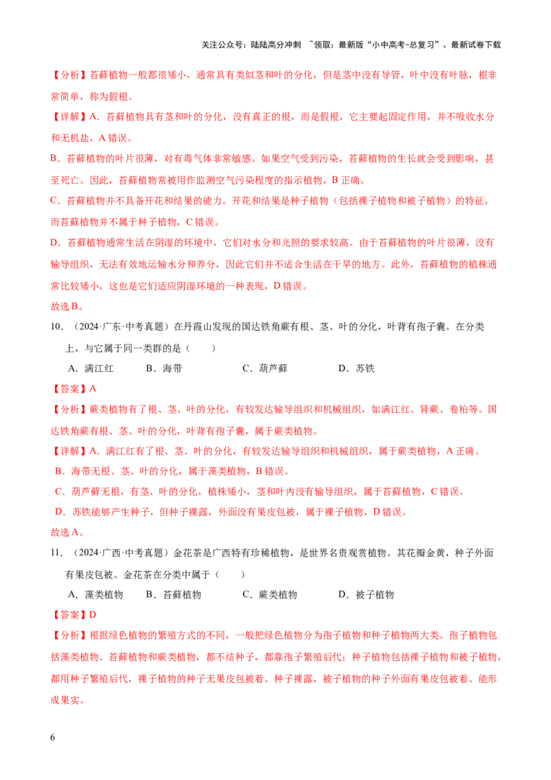 专题03绿色开花植物的一生（全国通用）（解析版）_02中考总复习（2026版更新中）_08-生物-中考总复习_2026年中考复习（更新中）