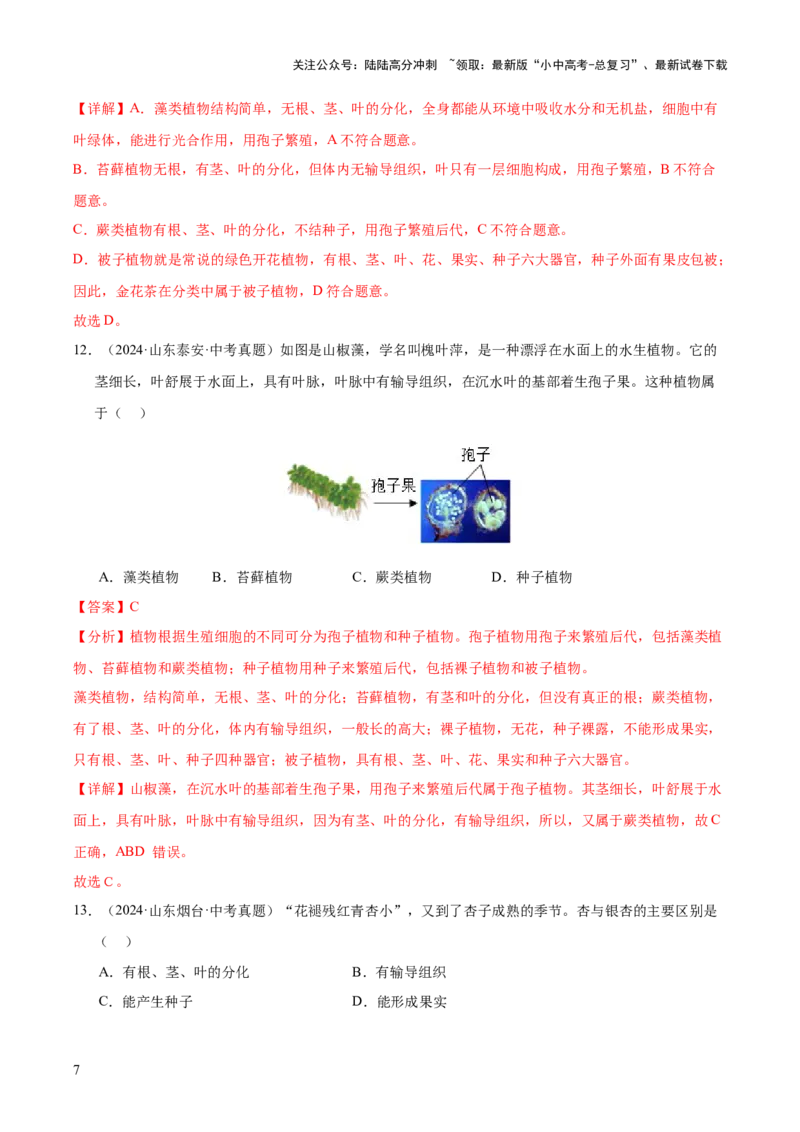 专题03绿色开花植物的一生（全国通用）（解析版）_02中考总复习（2026版更新中）_08-生物-中考总复习_2026年中考复习（更新中）