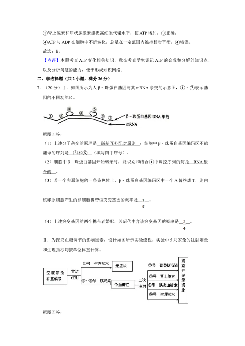 2008年天津市高考生物试卷解析版_全国卷+地方卷_6.生物_1.生物高考真题试卷_2008-2020年_地方卷_天津高考生物07-21_A4word版