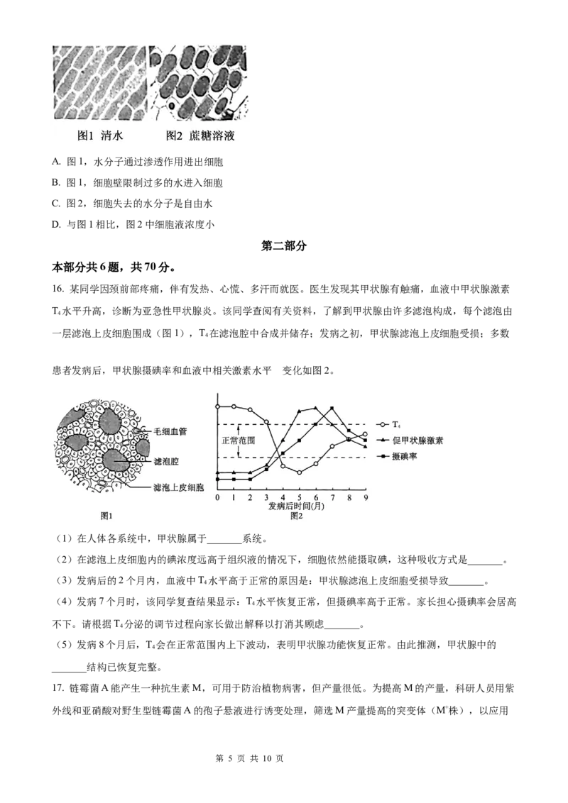 生物北京版2025年普通高等学校招生选择性考试（精编原卷版）_2025全国各省高考真题+答案_3、北京卷（语数外物政化史生地）