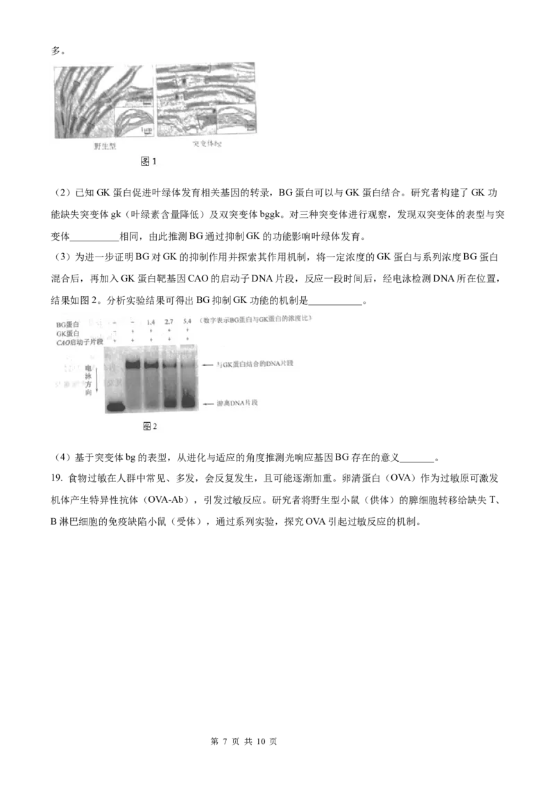 生物北京版2025年普通高等学校招生选择性考试（精编原卷版）_2025全国各省高考真题+答案_3、北京卷（语数外物政化史生地）