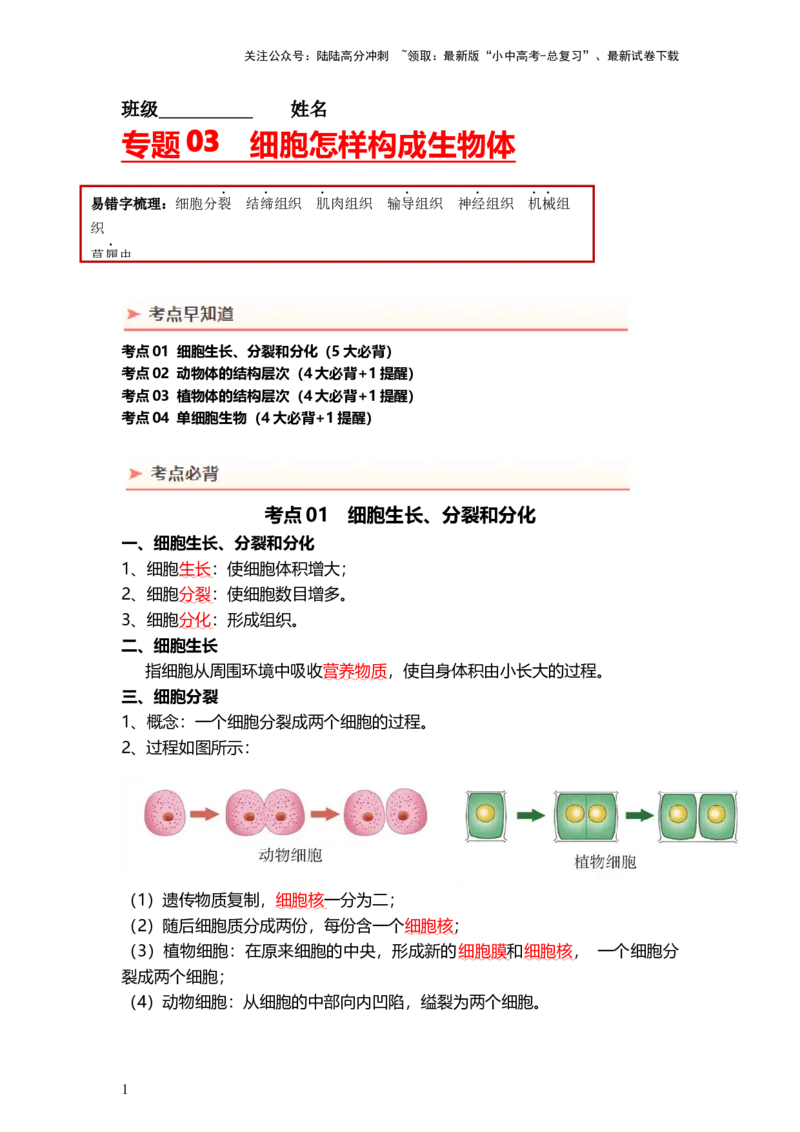 专题03细胞怎样构成生物体（背记帮）-备战2024年中考生物一轮复习考点帮_02中考总复习（2026版更新中）_08-生物-中考总复习_2024年中考复习资料_一轮复习_必背考点