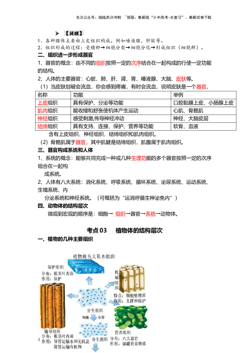 专题03细胞怎样构成生物体（背记帮）-备战2024年中考生物一轮复习考点帮_02中考总复习（2026版更新中）_08-生物-中考总复习_2024年中考复习资料_一轮复习_必背考点