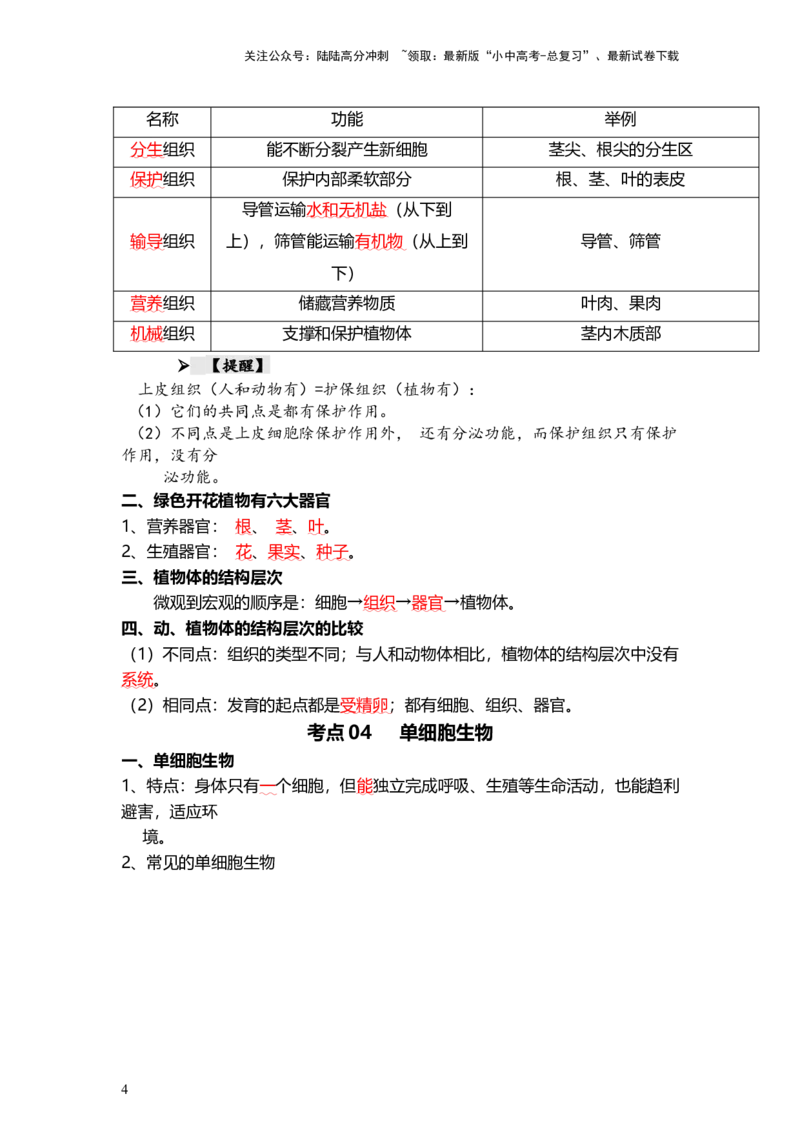 专题03细胞怎样构成生物体（背记帮）-备战2024年中考生物一轮复习考点帮_02中考总复习（2026版更新中）_08-生物-中考总复习_2024年中考复习资料_一轮复习_必背考点