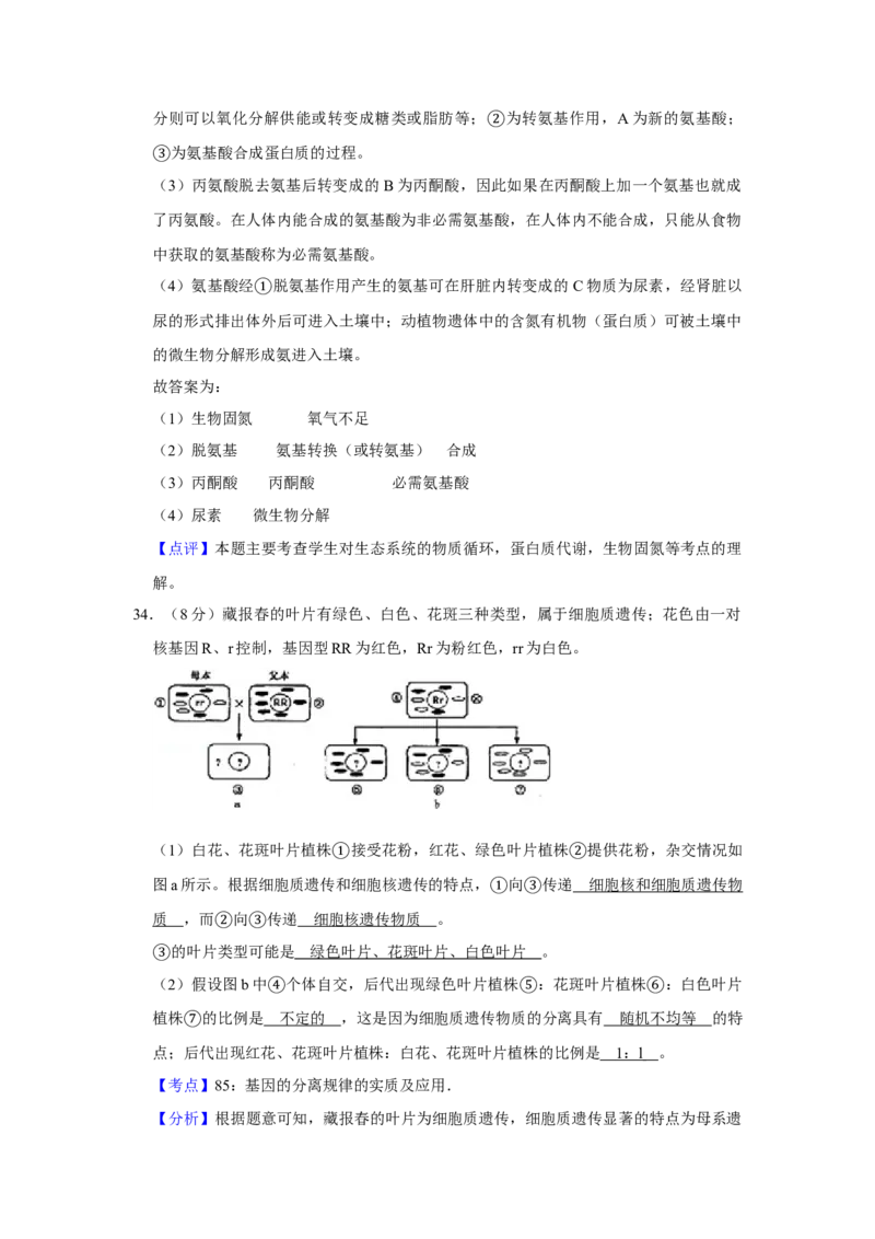2007年江苏省高考生物试卷解析版_全国卷+地方卷_6.生物_1.生物高考真题试卷_2008-2020年_地方卷_江苏高考生物07-20_A4word版
