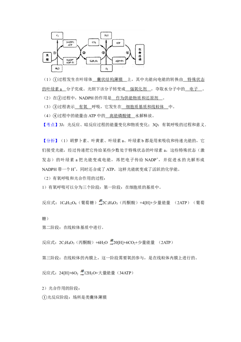 2007年江苏省高考生物试卷解析版_全国卷+地方卷_6.生物_1.生物高考真题试卷_2008-2020年_地方卷_江苏高考生物07-20_A4word版