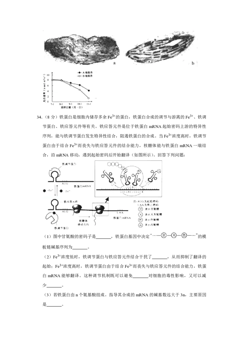 2010年江苏省高考生物试卷_全国卷+地方卷_6.生物_1.生物高考真题试卷_2008-2020年_地方卷_江苏高考生物07-20_A4word版_PDF版（赠送）