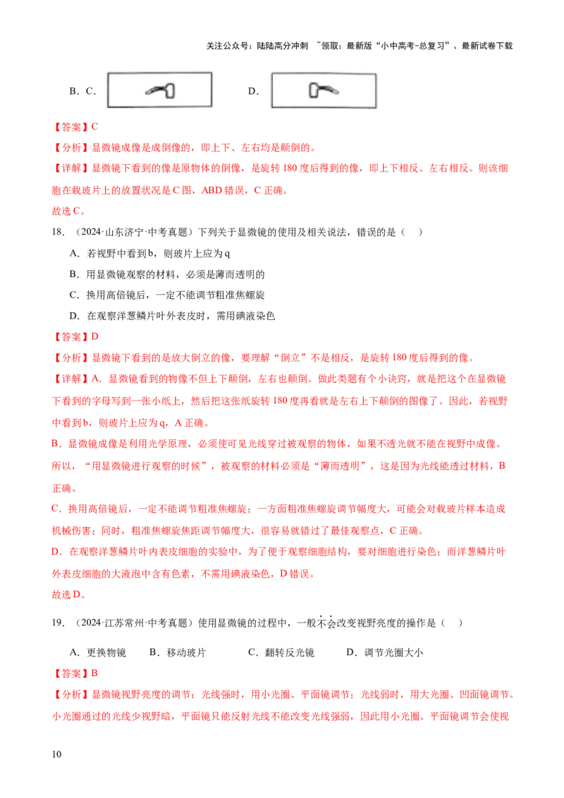 专题02生物体的结构层次（全国通用）（解析版）_02中考总复习（2026版更新中）_08-生物-中考总复习_2026年中考复习（更新中）