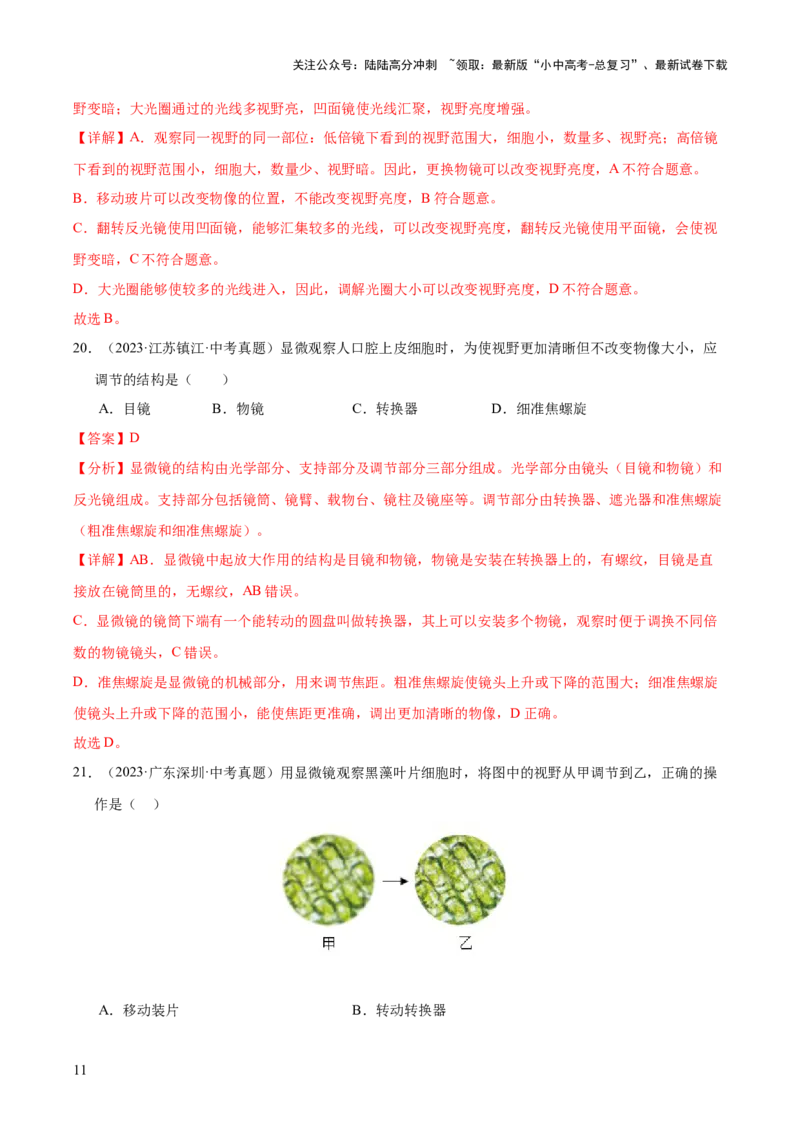 专题02生物体的结构层次（全国通用）（解析版）_02中考总复习（2026版更新中）_08-生物-中考总复习_2026年中考复习（更新中）