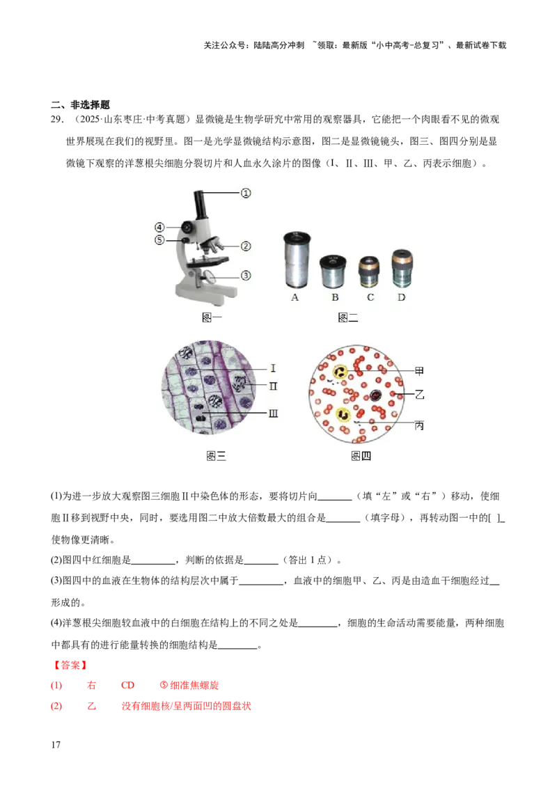 专题02生物体的结构层次（全国通用）（解析版）_02中考总复习（2026版更新中）_08-生物-中考总复习_2026年中考复习（更新中）