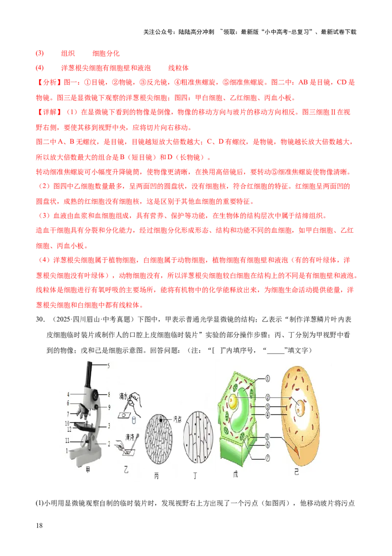 专题02生物体的结构层次（全国通用）（解析版）_02中考总复习（2026版更新中）_08-生物-中考总复习_2026年中考复习（更新中）