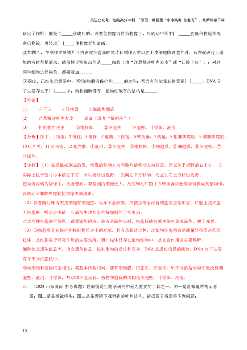 专题02生物体的结构层次（全国通用）（解析版）_02中考总复习（2026版更新中）_08-生物-中考总复习_2026年中考复习（更新中）