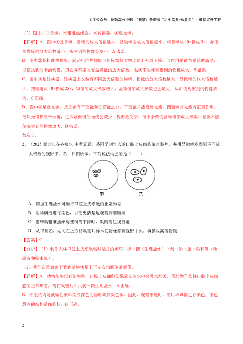 专题02生物体的结构层次（全国通用）（解析版）_02中考总复习（2026版更新中）_08-生物-中考总复习_2026年中考复习（更新中）
