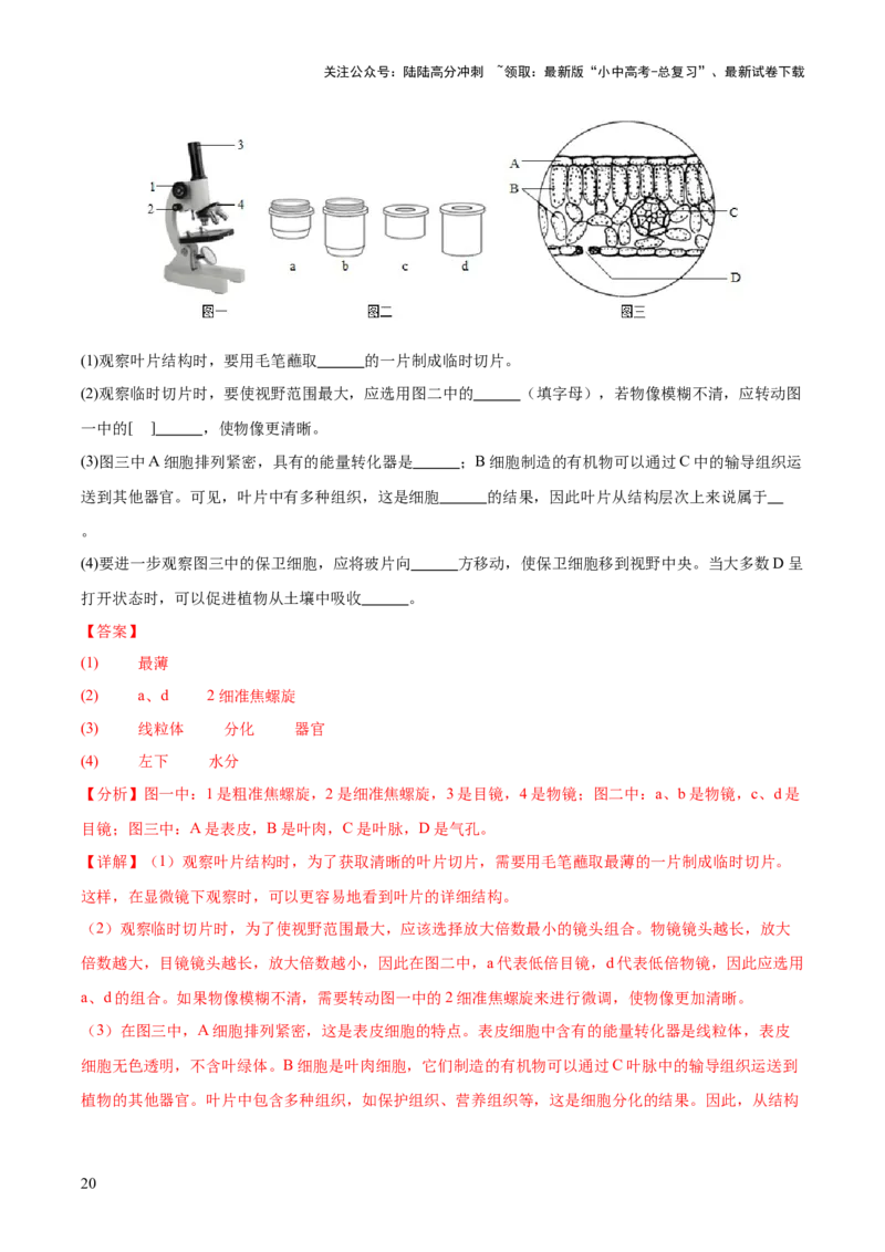 专题02生物体的结构层次（全国通用）（解析版）_02中考总复习（2026版更新中）_08-生物-中考总复习_2026年中考复习（更新中）