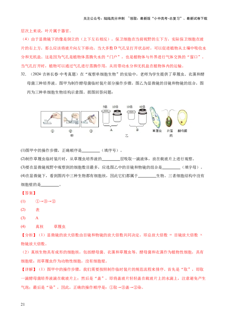 专题02生物体的结构层次（全国通用）（解析版）_02中考总复习（2026版更新中）_08-生物-中考总复习_2026年中考复习（更新中）