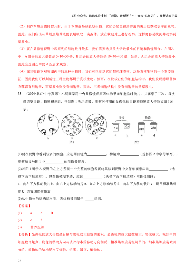 专题02生物体的结构层次（全国通用）（解析版）_02中考总复习（2026版更新中）_08-生物-中考总复习_2026年中考复习（更新中）