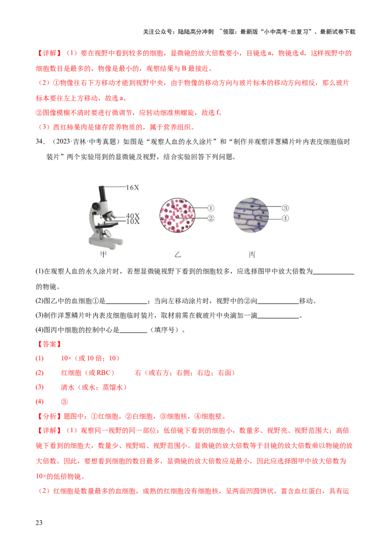 专题02生物体的结构层次（全国通用）（解析版）_02中考总复习（2026版更新中）_08-生物-中考总复习_2026年中考复习（更新中）