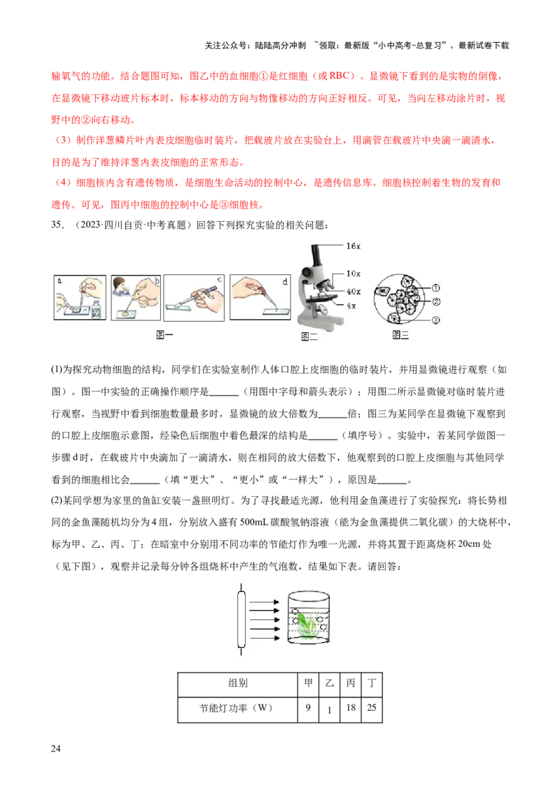 专题02生物体的结构层次（全国通用）（解析版）_02中考总复习（2026版更新中）_08-生物-中考总复习_2026年中考复习（更新中）