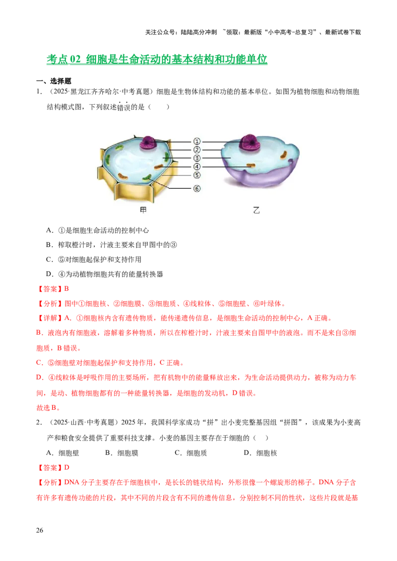 专题02生物体的结构层次（全国通用）（解析版）_02中考总复习（2026版更新中）_08-生物-中考总复习_2026年中考复习（更新中）