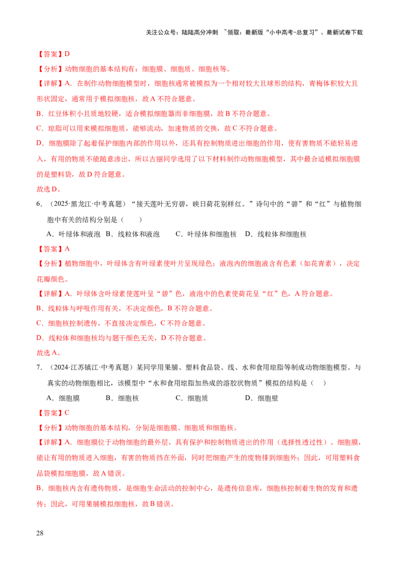 专题02生物体的结构层次（全国通用）（解析版）_02中考总复习（2026版更新中）_08-生物-中考总复习_2026年中考复习（更新中）