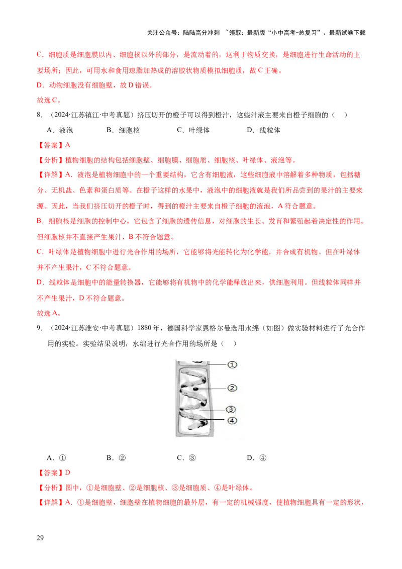 专题02生物体的结构层次（全国通用）（解析版）_02中考总复习（2026版更新中）_08-生物-中考总复习_2026年中考复习（更新中）