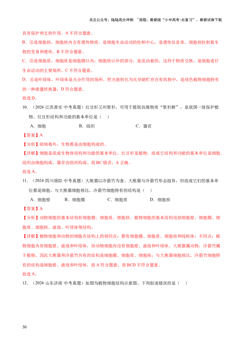 专题02生物体的结构层次（全国通用）（解析版）_02中考总复习（2026版更新中）_08-生物-中考总复习_2026年中考复习（更新中）