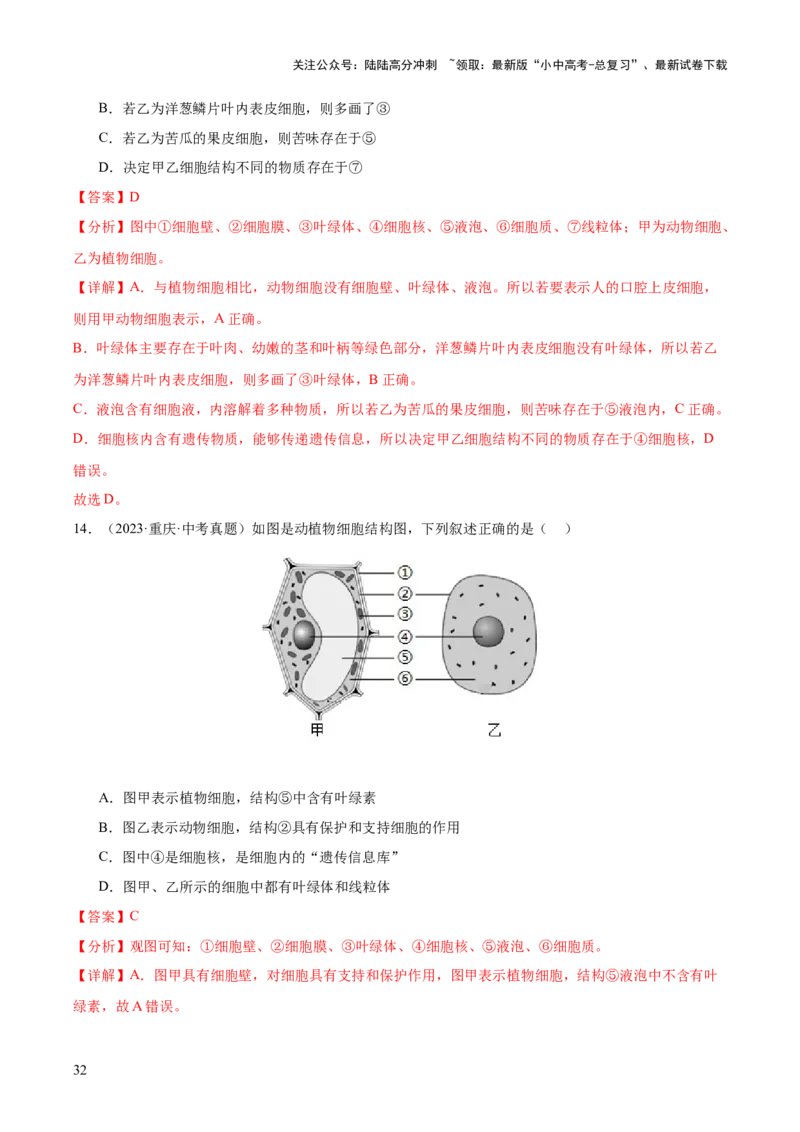 专题02生物体的结构层次（全国通用）（解析版）_02中考总复习（2026版更新中）_08-生物-中考总复习_2026年中考复习（更新中）