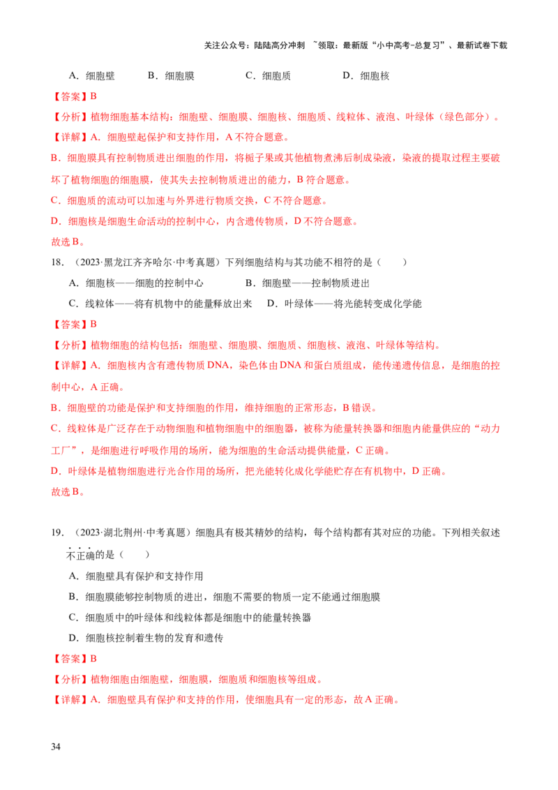 专题02生物体的结构层次（全国通用）（解析版）_02中考总复习（2026版更新中）_08-生物-中考总复习_2026年中考复习（更新中）