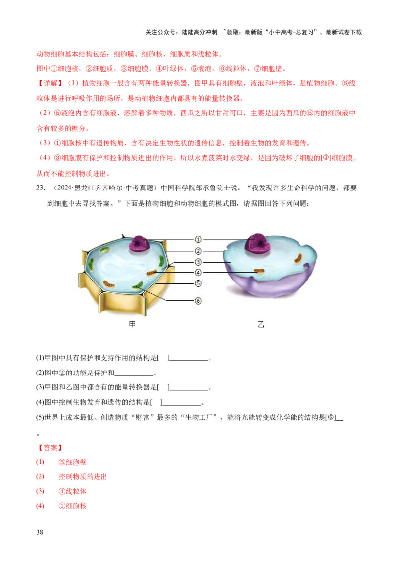 专题02生物体的结构层次（全国通用）（解析版）_02中考总复习（2026版更新中）_08-生物-中考总复习_2026年中考复习（更新中）