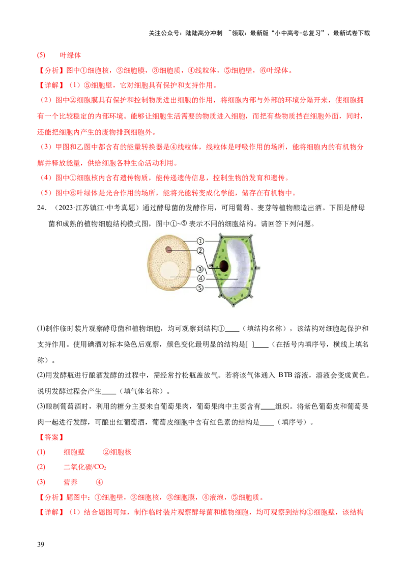专题02生物体的结构层次（全国通用）（解析版）_02中考总复习（2026版更新中）_08-生物-中考总复习_2026年中考复习（更新中）