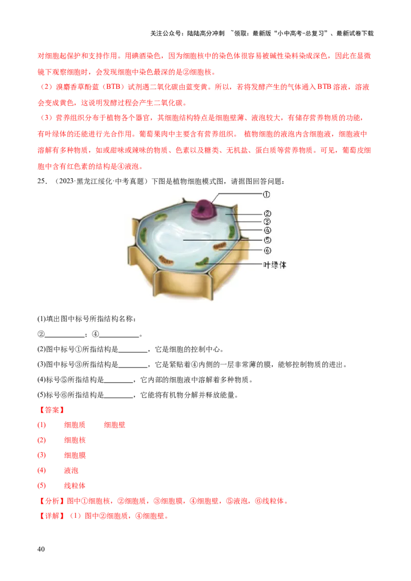 专题02生物体的结构层次（全国通用）（解析版）_02中考总复习（2026版更新中）_08-生物-中考总复习_2026年中考复习（更新中）