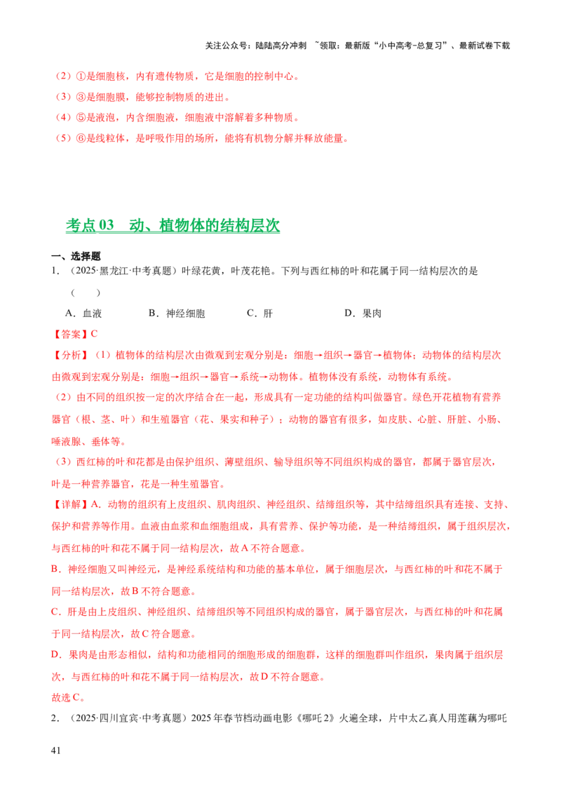 专题02生物体的结构层次（全国通用）（解析版）_02中考总复习（2026版更新中）_08-生物-中考总复习_2026年中考复习（更新中）
