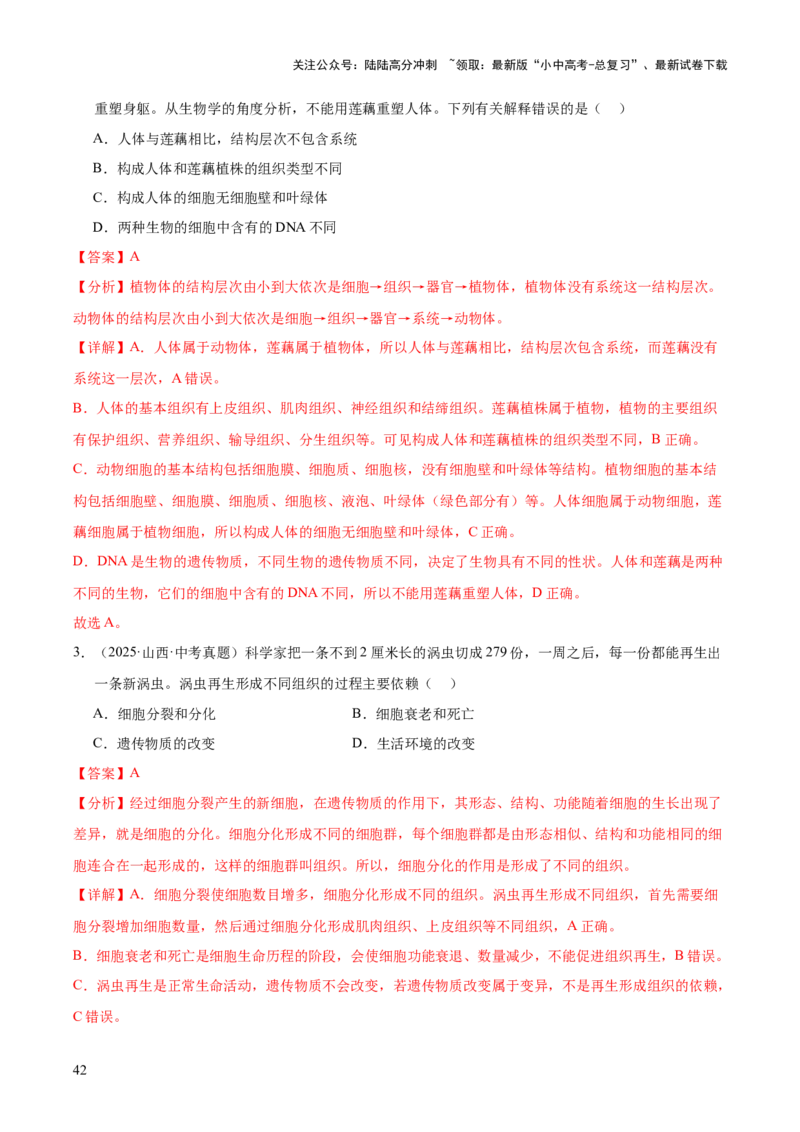 专题02生物体的结构层次（全国通用）（解析版）_02中考总复习（2026版更新中）_08-生物-中考总复习_2026年中考复习（更新中）