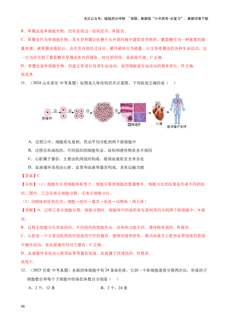 专题02生物体的结构层次（全国通用）（解析版）_02中考总复习（2026版更新中）_08-生物-中考总复习_2026年中考复习（更新中）