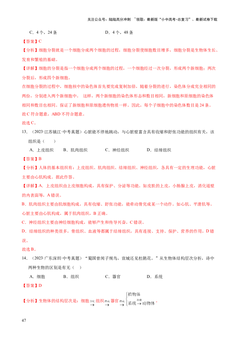 专题02生物体的结构层次（全国通用）（解析版）_02中考总复习（2026版更新中）_08-生物-中考总复习_2026年中考复习（更新中）